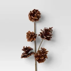 4pc Christmas Pick Set 2 Iced Pinecone 2 Red Berry With Pinecones - Wondershop™ -Wonder Shop USA GUEST 0da78f5f c518 4aad be7b 34dde7e949b2