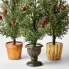 3pc Decorative Potted Faux Greenery Tree - Wondershop™ 2 3pc Decorative Potted Faux Greenery Tree - Wondershop™ -Wonder Shop USA GUEST 14075050 d5a6 4ff4 b83d 36bcf78b0244