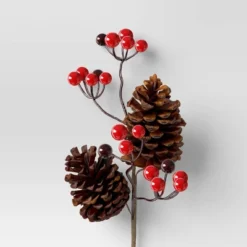 4pc Christmas Pick Set 2 Iced Pinecone 2 Red Berry With Pinecones - Wondershop™ -Wonder Shop USA GUEST 1a06ac68 dd01 4157 8dfe 69ce307fe686