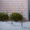 3ct LED Artificial Twig Christmas Stake Lights Warm White - Wondershop™: Birch Effect, 30" Height, Electric Powered Outdoor Pathway Decor -Wonder Shop USA GUEST 2577758e 7330 4636 8a35 490664c25737