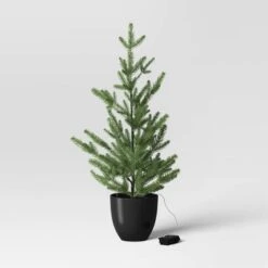 Pre-lit Potted Balsam Fir Mini Artificial Christmas Tree Set Warm White Lights - Wondershop™ -Wonder Shop USA GUEST 2f6ede86 a317 43ff 9028 1ebcf8a6c23f