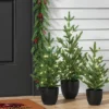 Pre-lit Potted Balsam Fir Mini Artificial Christmas Tree Set Warm White Lights - Wondershop™