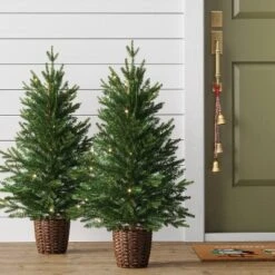 2pc 3' Pre-Lit Potted Balsam Fir Artificial Christmas Trees Warm LED White Lights - Wondershop™