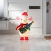 Incandescent Tinsel Mouse Christmas Novelty Sculpture Light With Clear/Multicolor Light Bulb - Wondershop™ -Wonder Shop USA GUEST d0871e27 6bd8 4346 8ac2 1f7f18898994