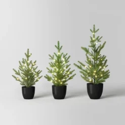 Pre-lit Potted Balsam Fir Mini Artificial Christmas Tree Set Warm White Lights - Wondershop™ -Wonder Shop USA GUEST dace8258 2c82 4bf0 9dbe c83373b16bdf