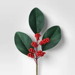 4pc Christmas Pick Set 2 Magnolia Leaf 2 Red Poinsettia - Wondershop™ -Wonder Shop USA GUEST f4255727 4432 43e9 bc15 cf1d5326592b