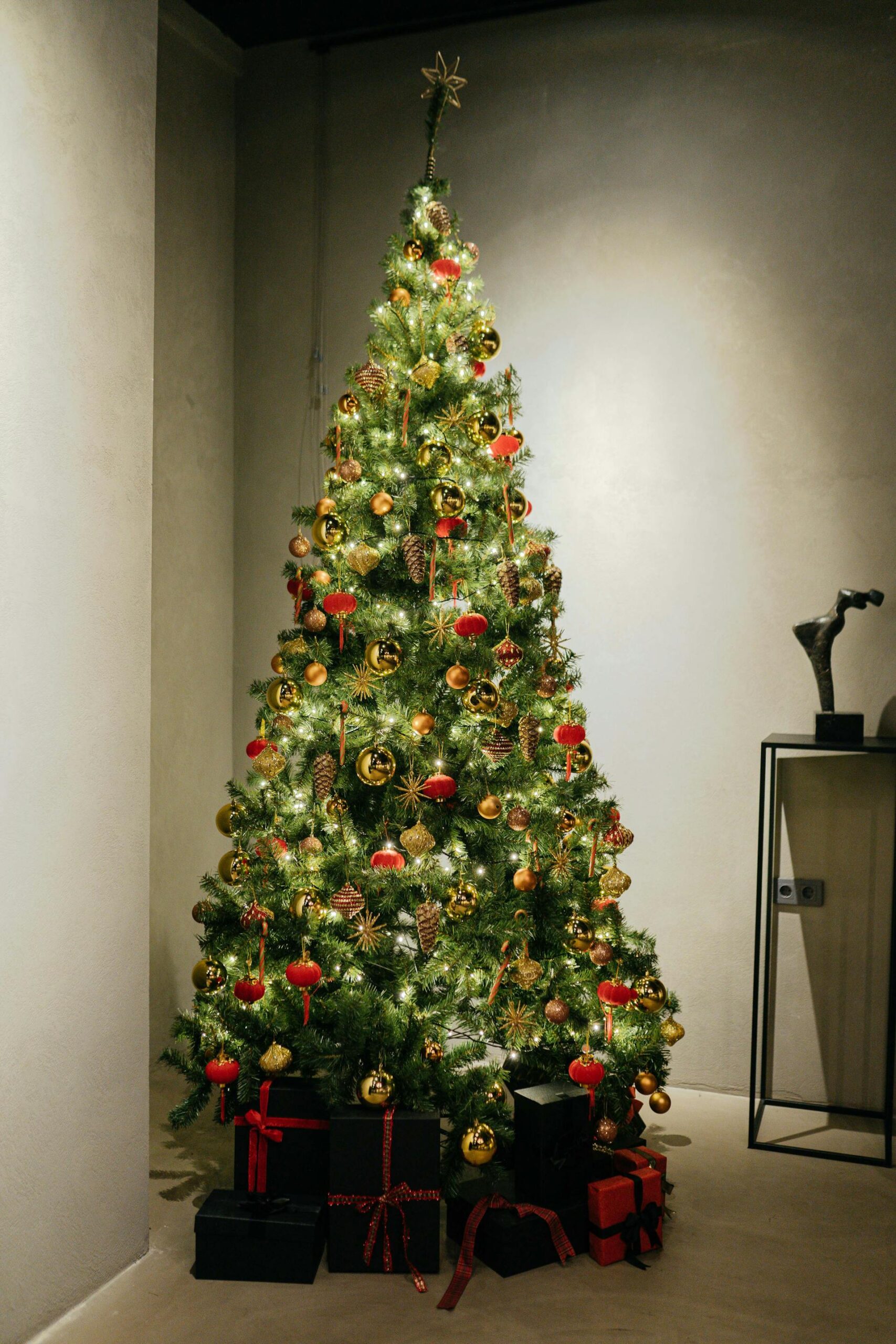 Wonder Shop USA -Wonder Shop USA pexels furkanfdemir 10821039 scaled